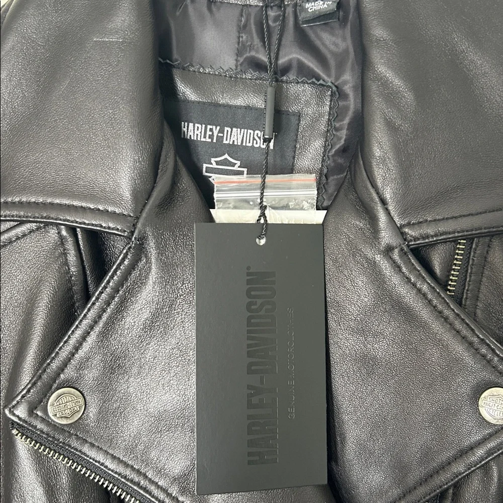 Harley-Davidson harley davidson